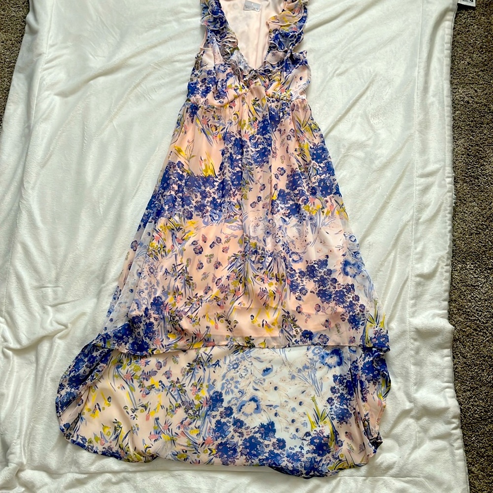Leith Small T length floral dress